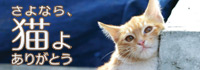 さよなら、猫よ ありがとう